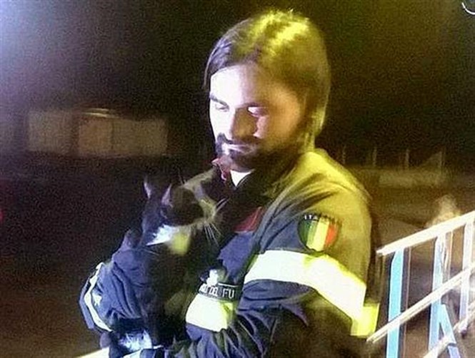 قطة تصل إلى أوروبا في هجرة غير شرعية