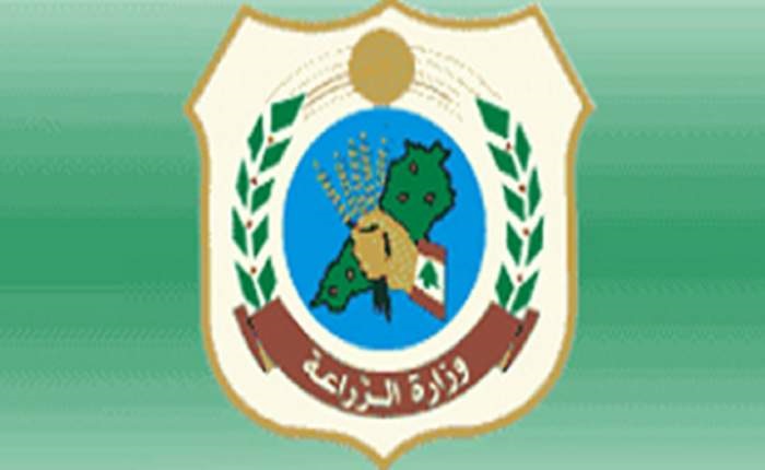 وزارة الزراعة اوضحت مغالطات تضمنها تقرير إخباري: نطمئن المواطنين الى صحة ما يأكلون من منتجات