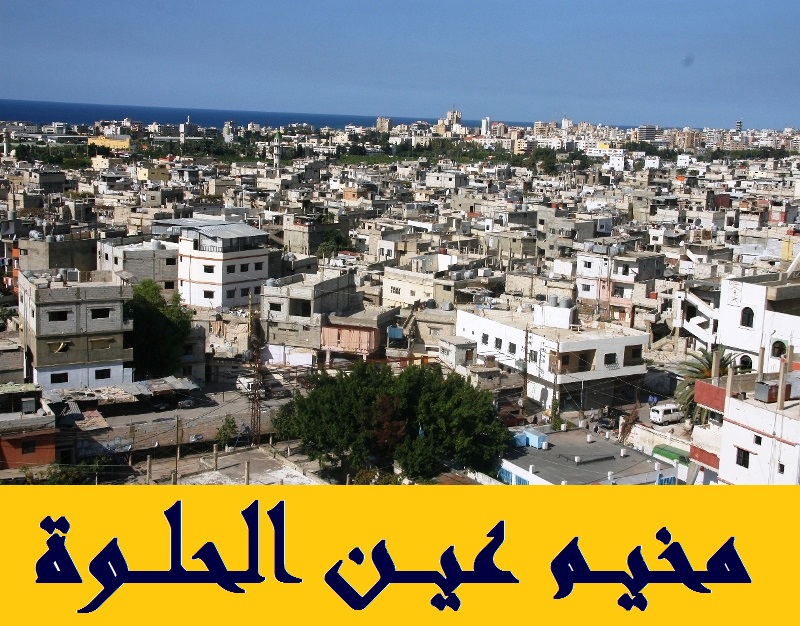 إضراب عين الحلوة متواصل رفضا لقرار وزارة العمل