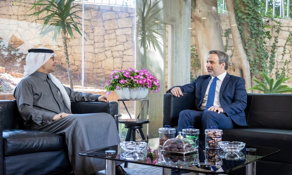 معوّض: لا حلّ الّا بتطبيق جدّي للقرار 1701