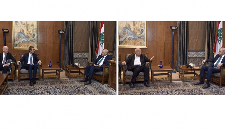 لقاءات بري