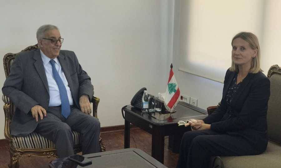 بوحبيب: الـ1701 شرط أساسي لتحقيق الاستقرار المستدام في الجنوب