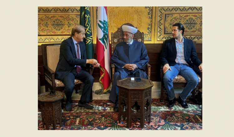 لقاءات دريان