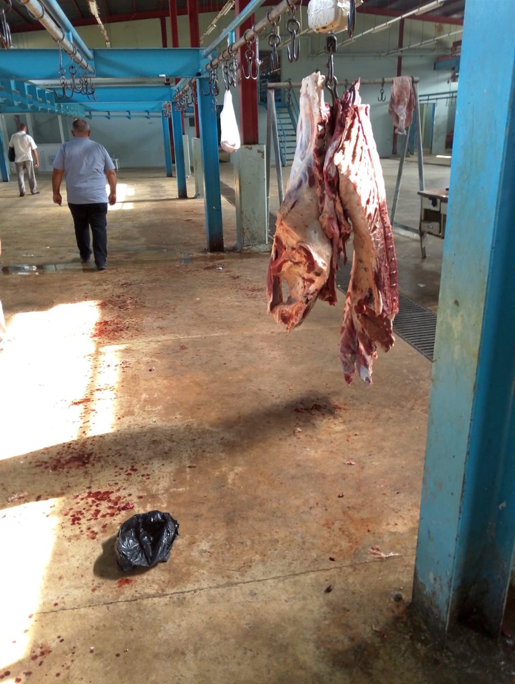 قرار لمحافظ الجنوب باقفال مسلخ صيدا لمخالفته الشروط الصحية والسلامة العامة