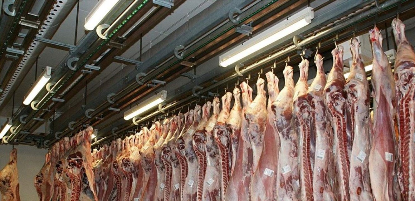 إعادة فتح مسلخ صيدا