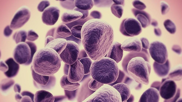 اختبار علاج خارق.. خلايا معدلة تهاجم السرطان وتقضي عليه