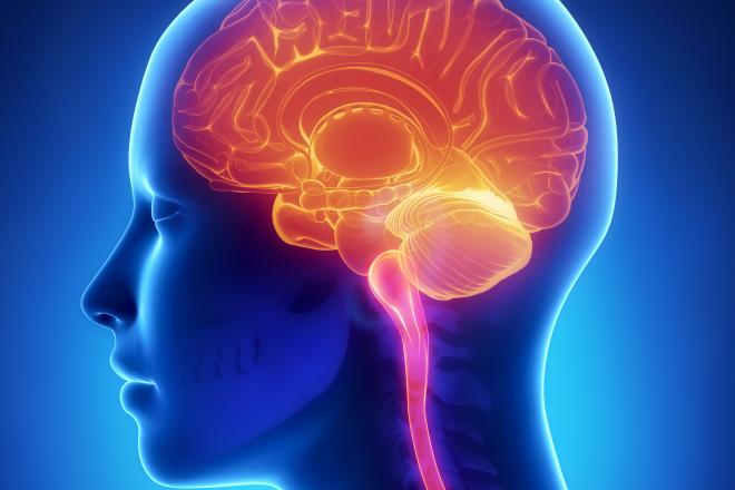 الأمراض المعدية تؤثر في مستوى الذكاء