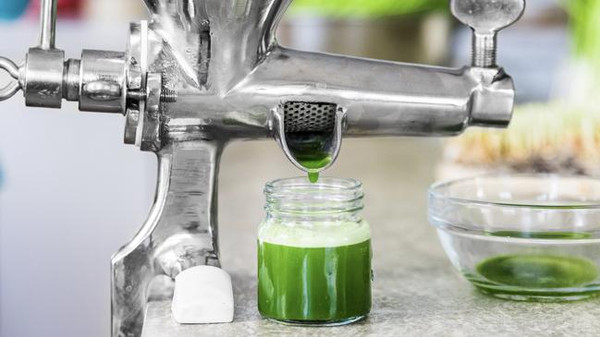 عصير عشبة القمح لالتهاب القولون التقرحي