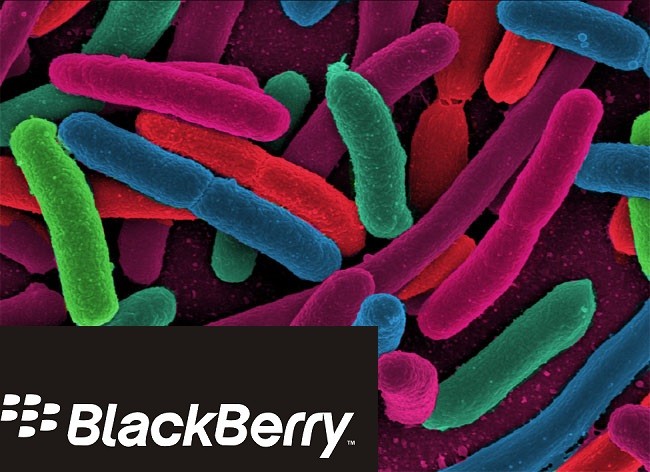 بلاكبيري تطور هواتف "خالية من البكتيريا"
