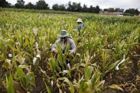 أستراليا تستعين بالأمطار الاصطناعية