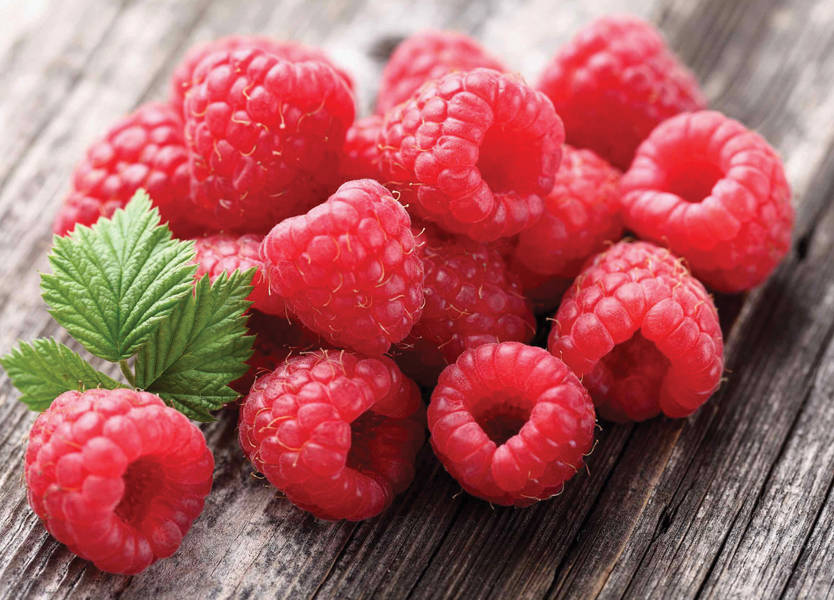 التوت الأحمر "يُقاوم" السكّري