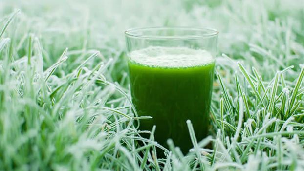 شراب لمكافحة الشيخوخة