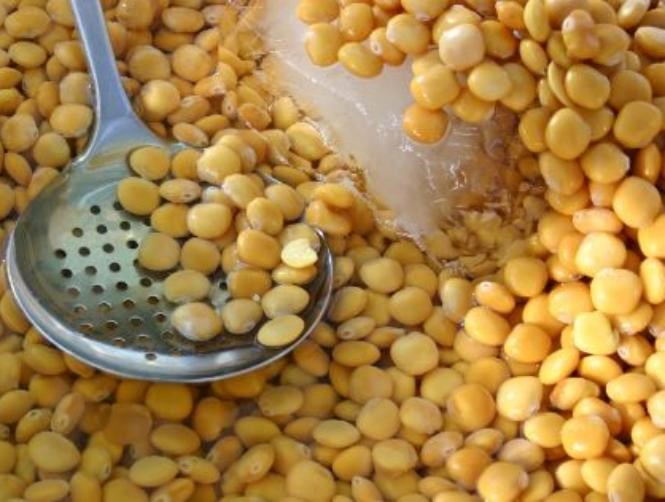 15 حبة ترمس تقيك من أمراض خطرة