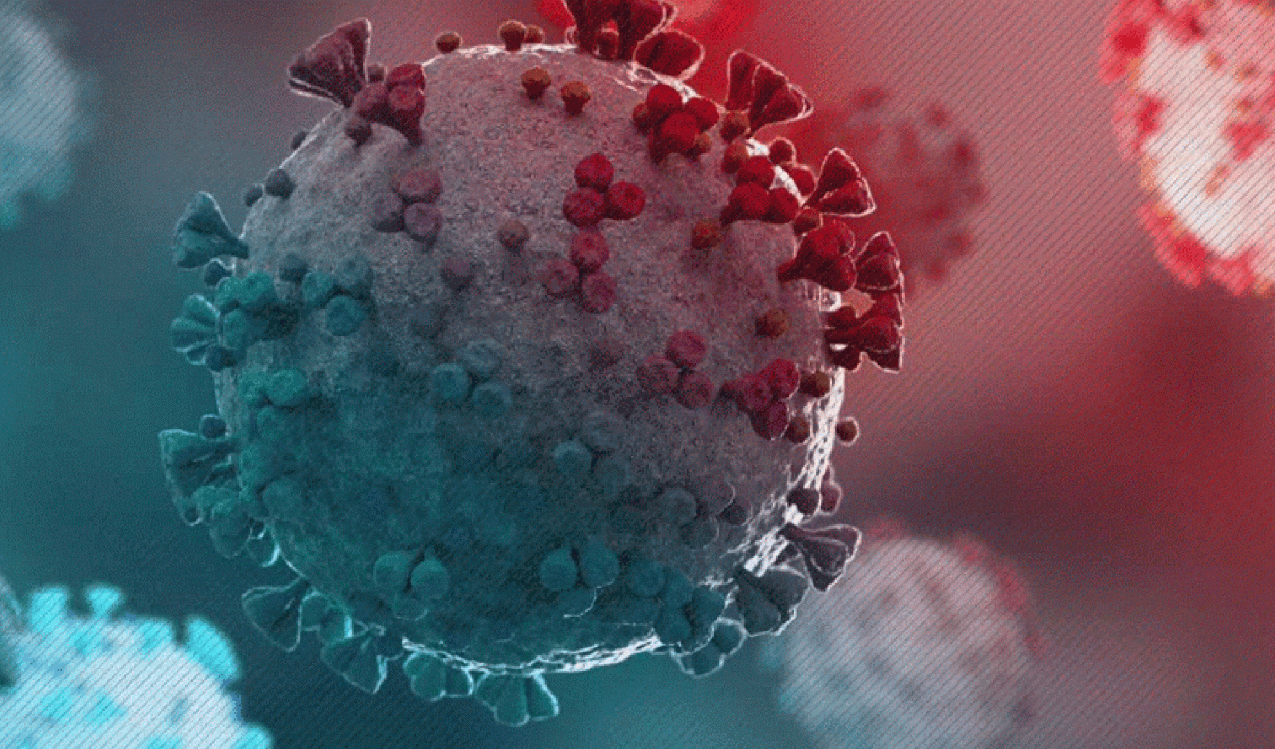 "نيوكوف" متحور كورونا الجديد والأكثر فتكاً!