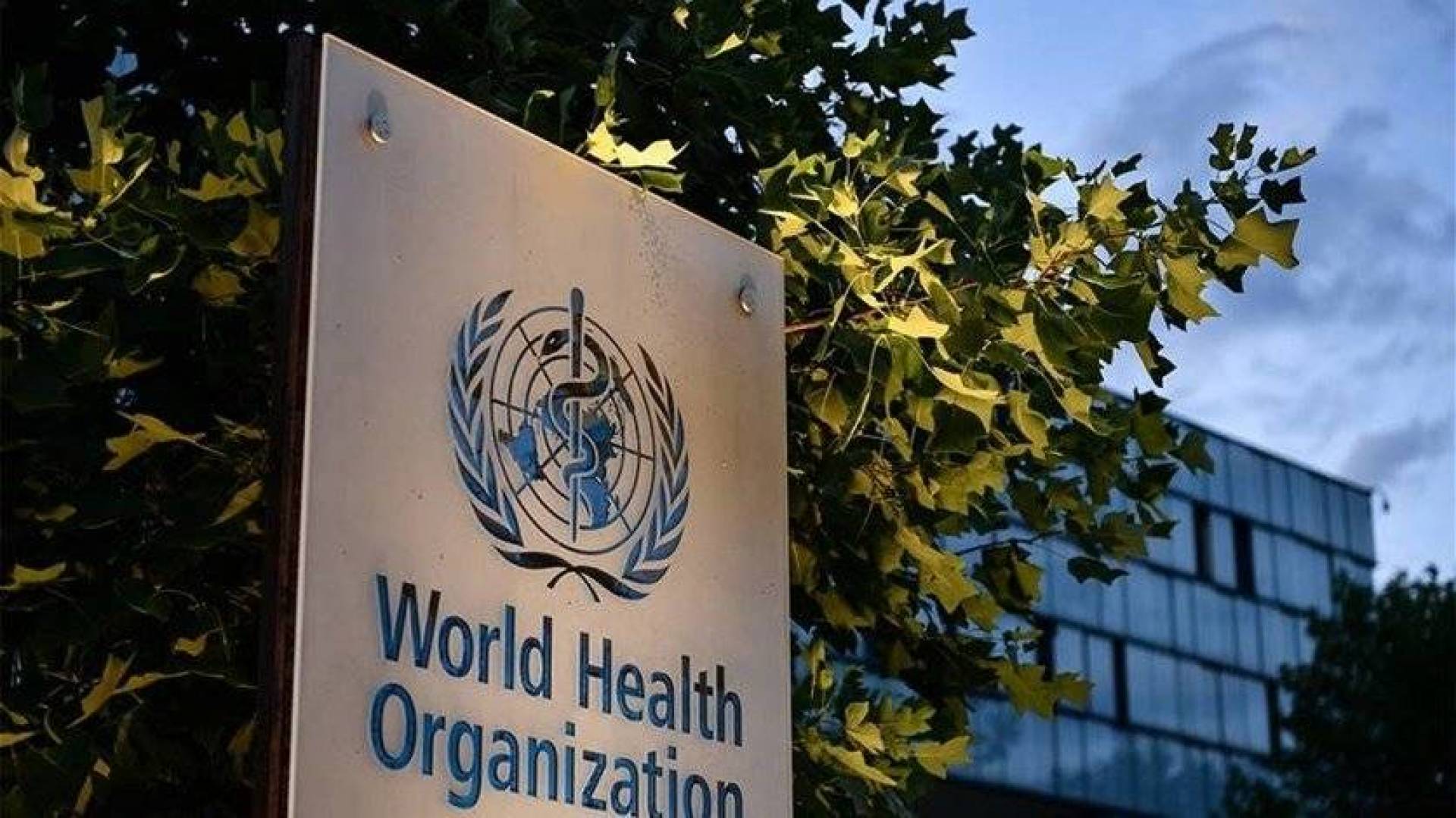 الصحة العالمية: "من السابق لأوانه" إعلان الانتصار على كوفيد