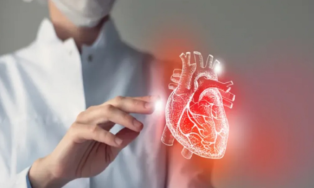 اختبار سريع يكشف العمر الفعلي لعضلة قلبك