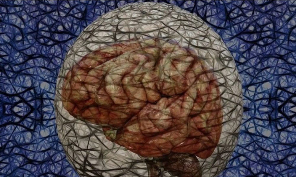 تفسير مثير للجدل حول مرض ألزهايمر!