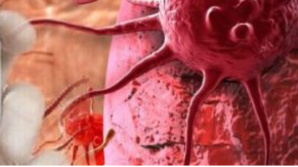 "الصحة العالمية" تؤكّد استحالة القضاء &rlm;على كورونا نهائياً