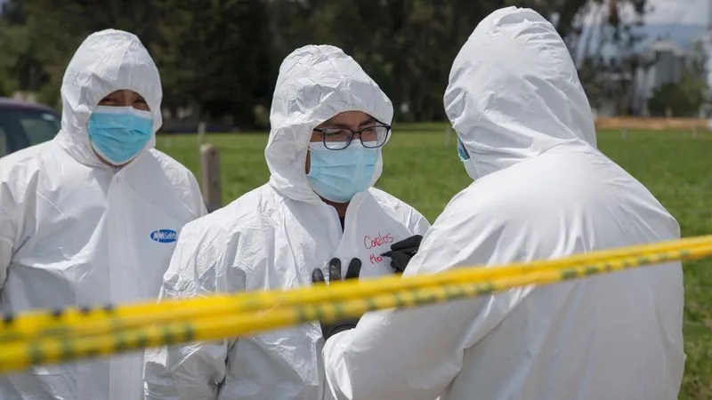 إنفلونزا الطيور.. خبراء يدقون ناقوس الخطر