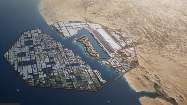 بالفيديو : هذه هي نيوم